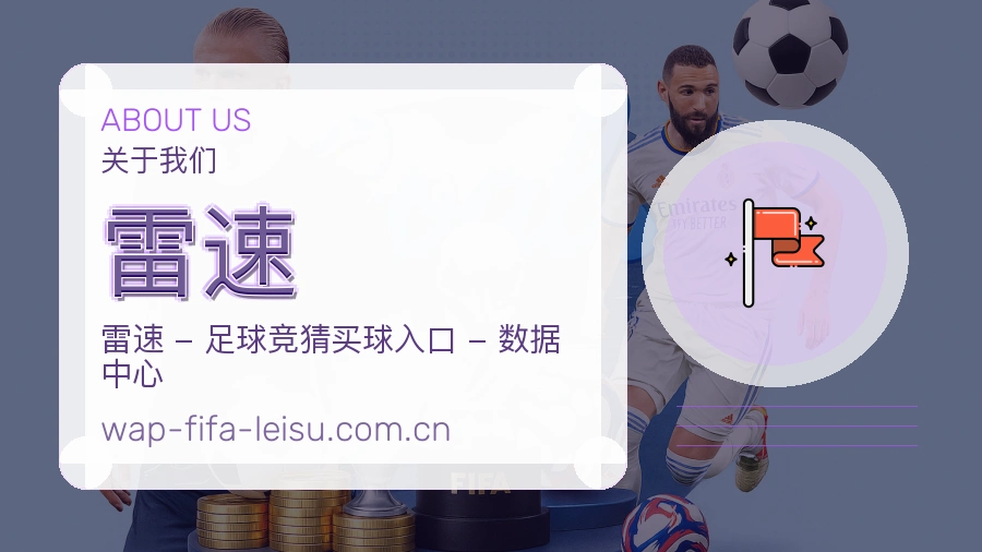 雷速发展介绍
